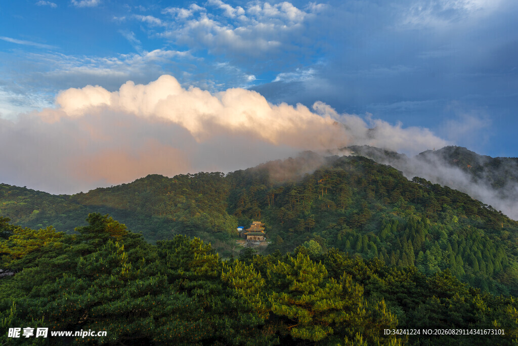 山间云海与葱郁森林美景
