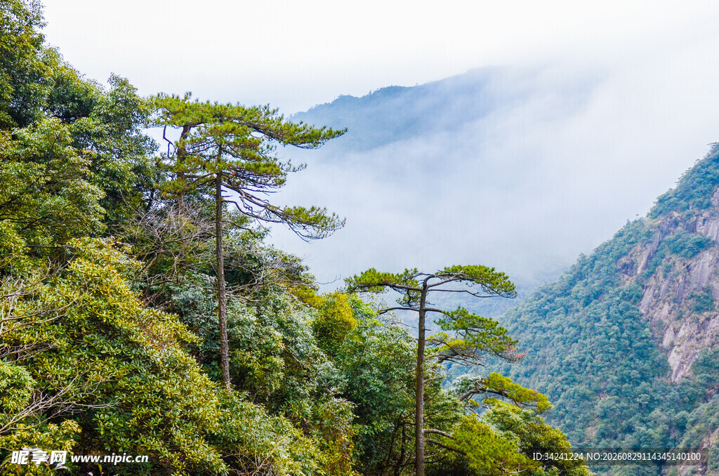 山林云雾缭绕的自然美景