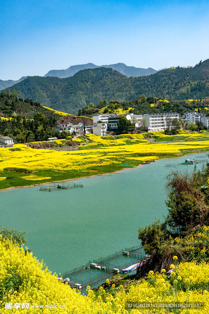 春日河畔田园风光美景