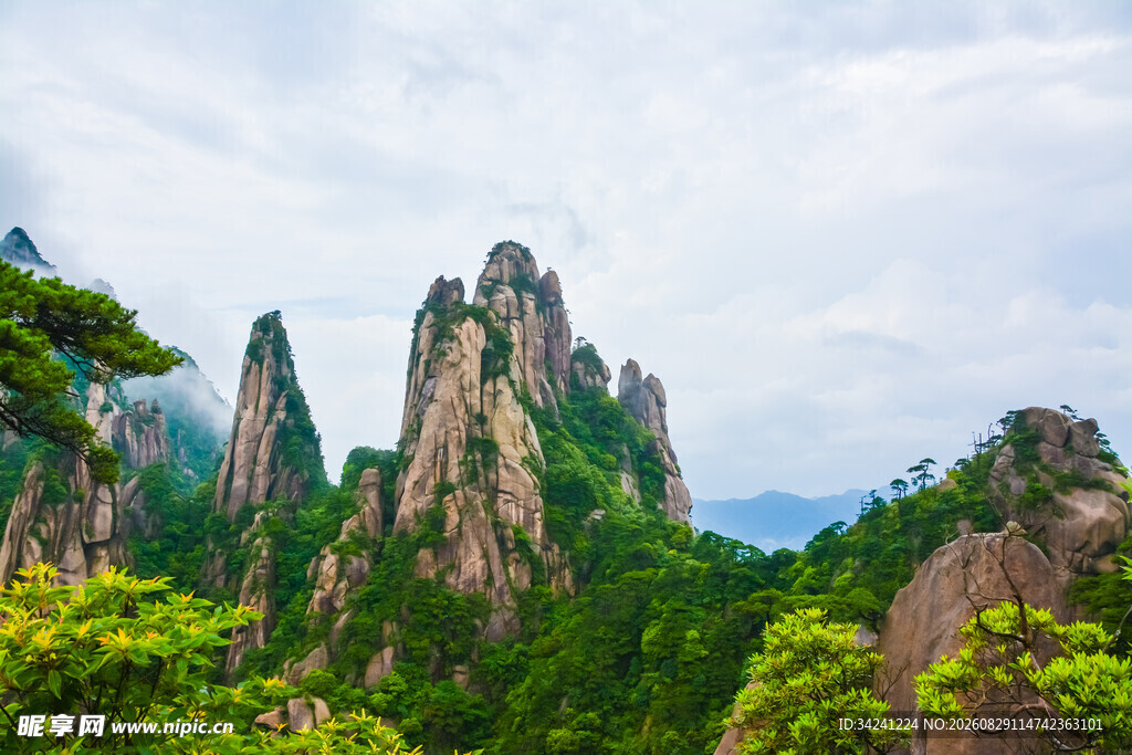 奇峰林立的壮美山林景观