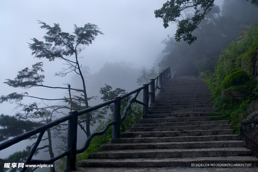 雾中石阶山林清幽景致