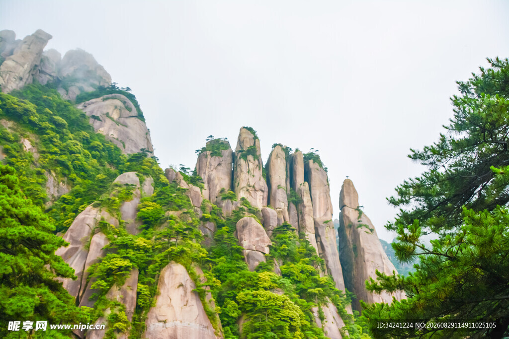 奇峰绿植构成壮美山景