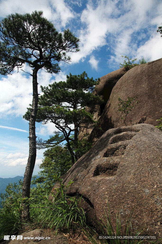 山间松立巨石伴阶景