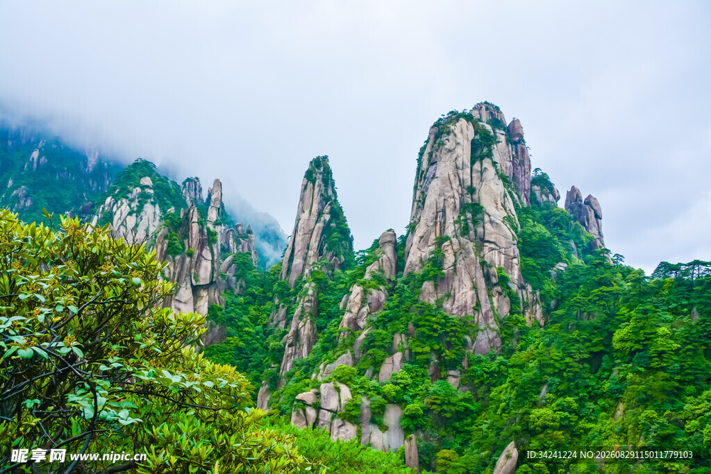秀丽奇峰伴葱郁山林