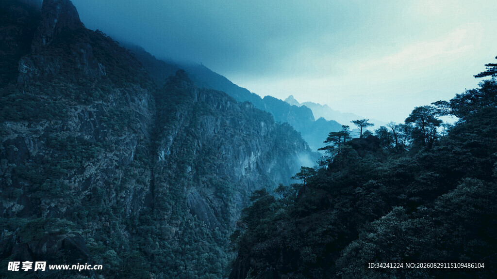 山间云雾缭绕的葱郁山林