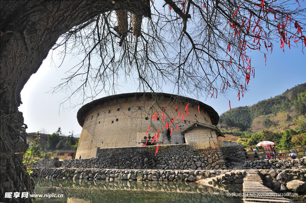 古树下的圆形土楼建筑