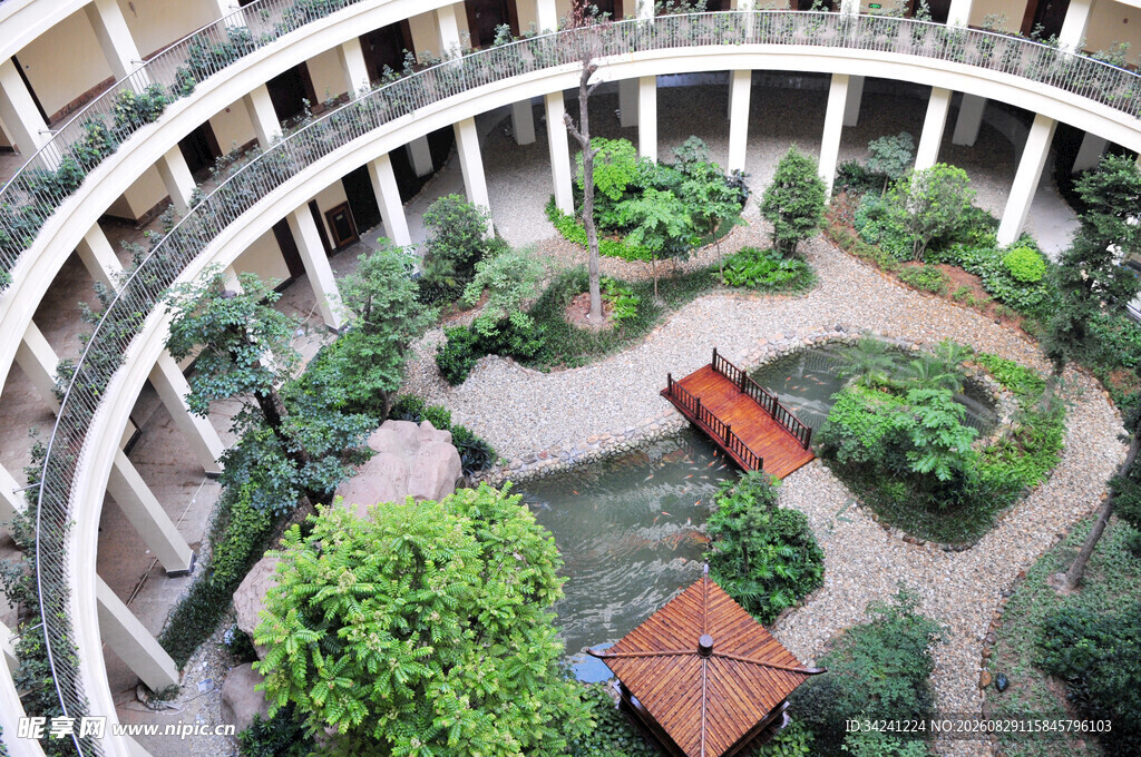 庭院式建筑内的绿植景观