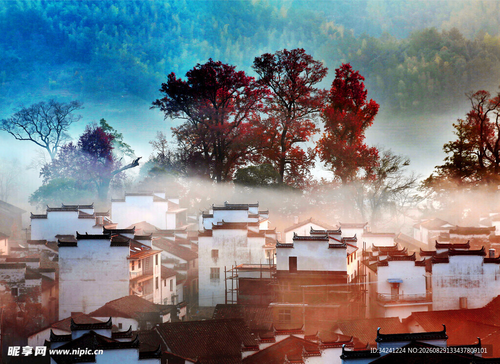 山村晨景雾绕白墙红树