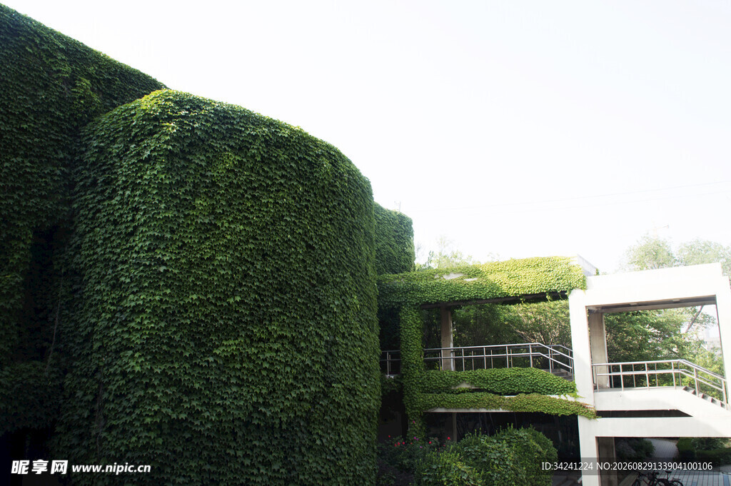绿植覆盖的独特建筑外观
