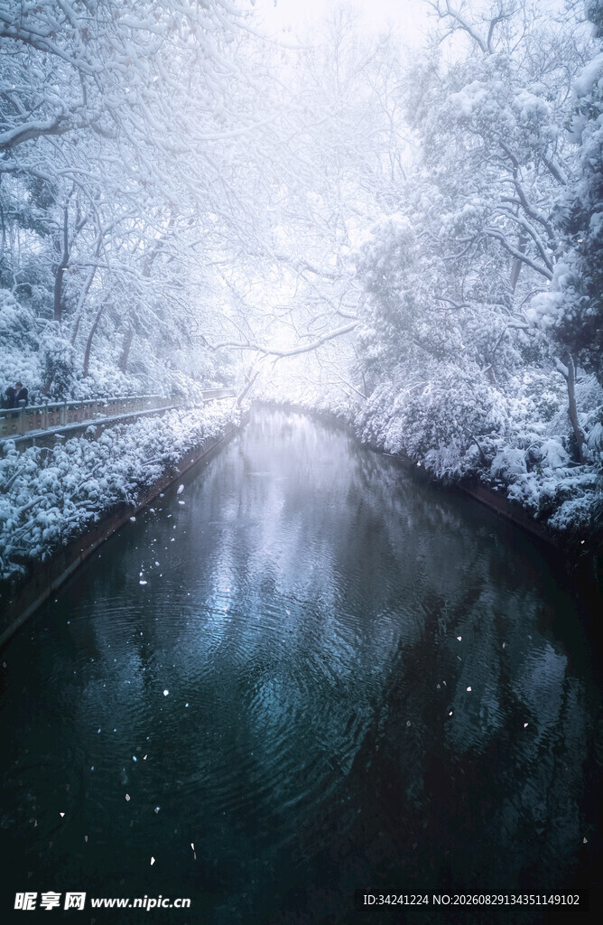 冬日雪覆河流静谧景象