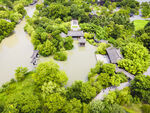 江南水乡绿意盎然景观