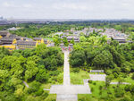 绿树环绕中的宏伟建筑景观