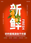 新鲜橘子海报