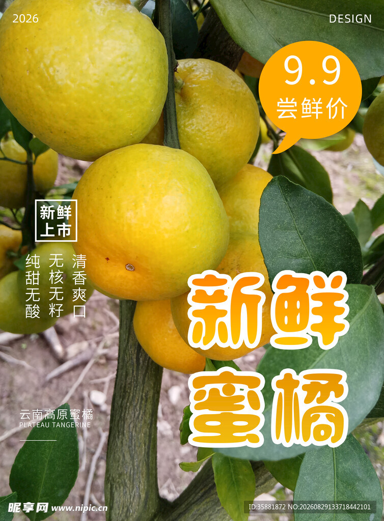 新鲜蜜橘促销海报