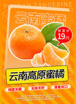 云南高原蜜橘特惠促销