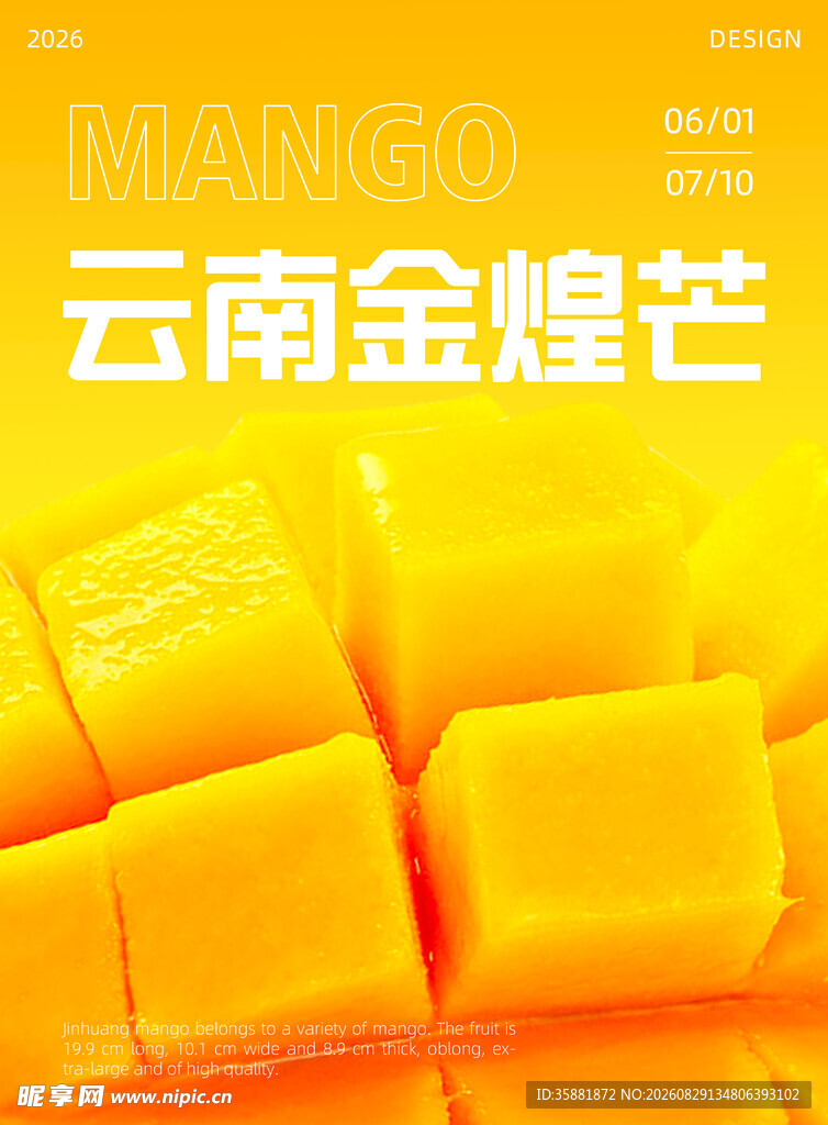 云南金煌芒切块展示