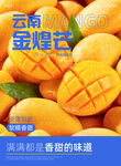 云南金煌芒水果海报