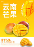 云南芒果香甜美味诱人