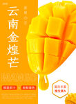 云南金煌芒香甜多汁诱人