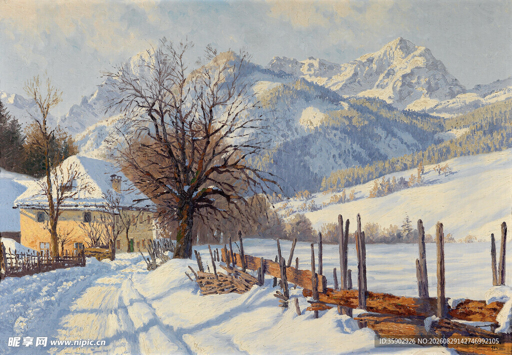 冬日乡村雪景