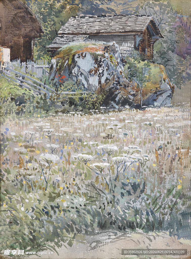 乡村小屋旁的绿植景观