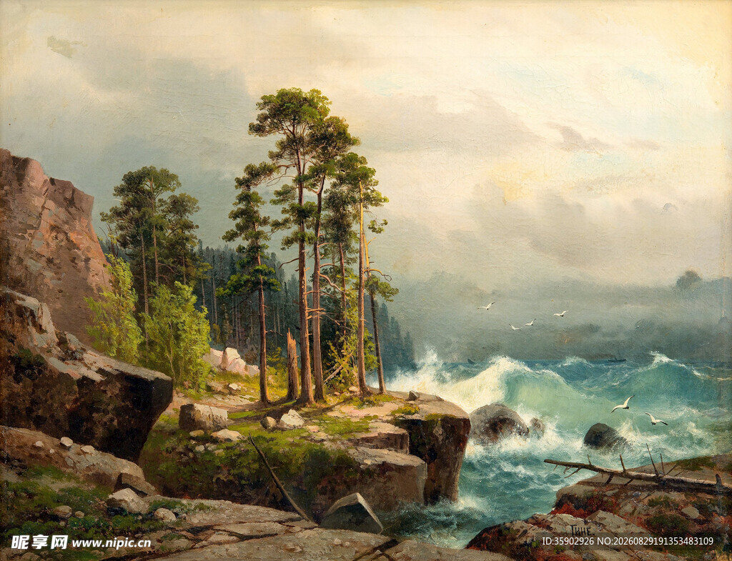 海边松林风景