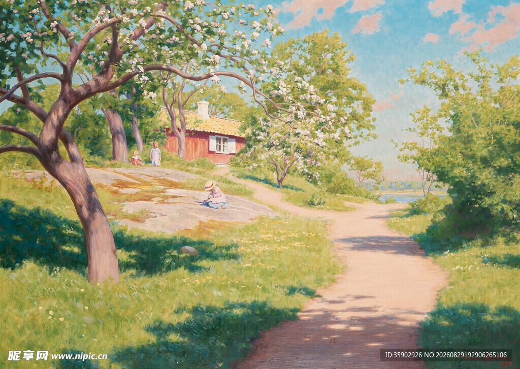 夏日乡村小路风景