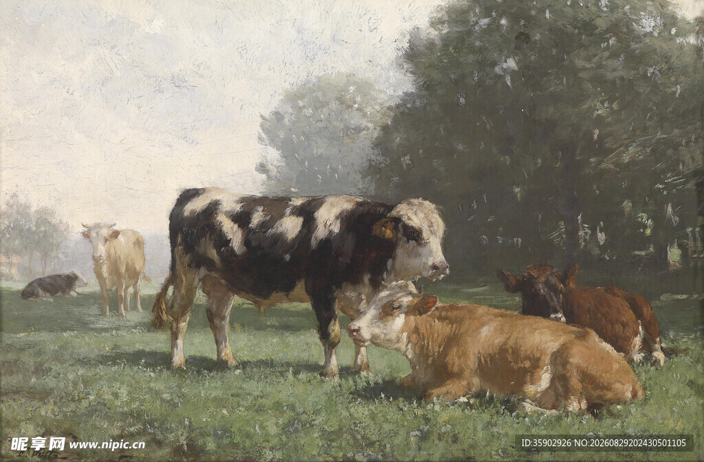 草地上休憩的几头奶牛