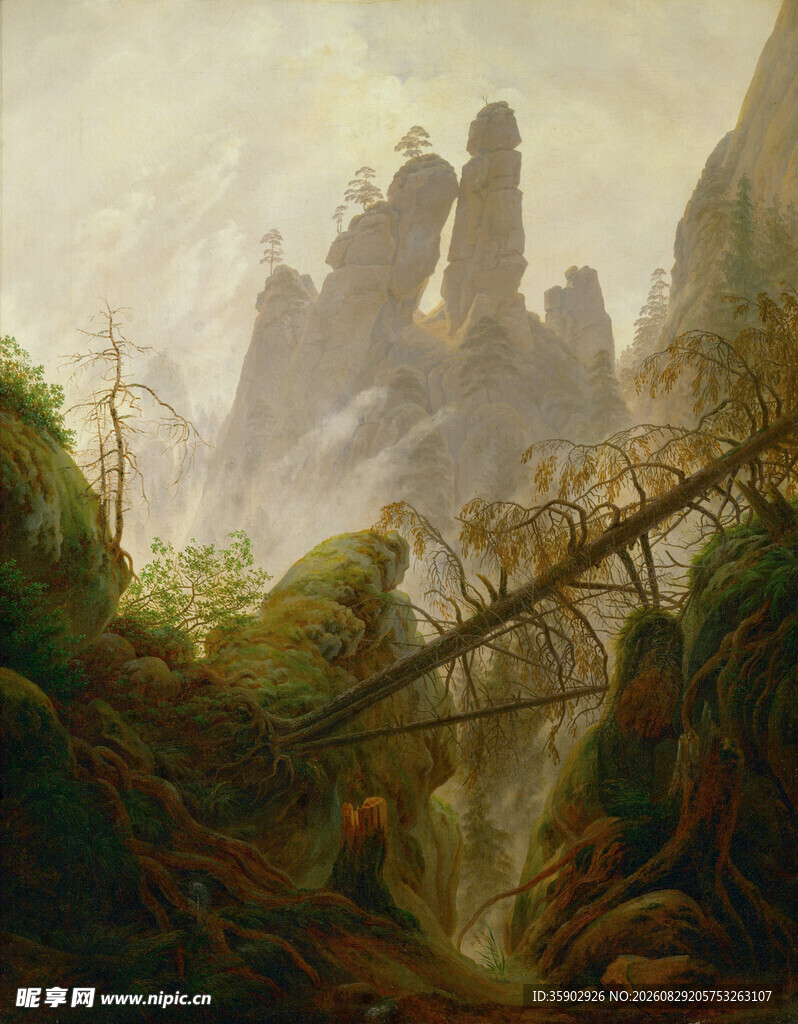 奇幻山林中的神秘悬空桥