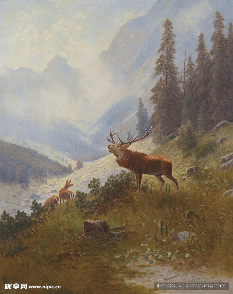 山间麋鹿的自然景致