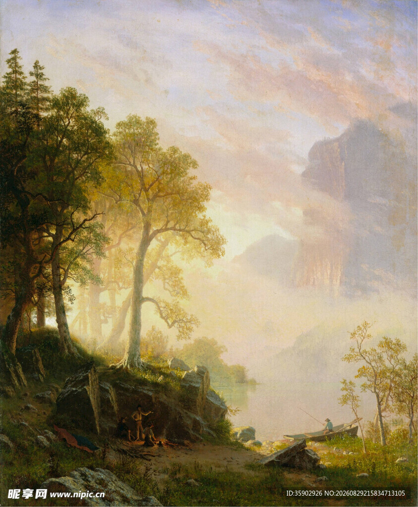 林间晨曦美景