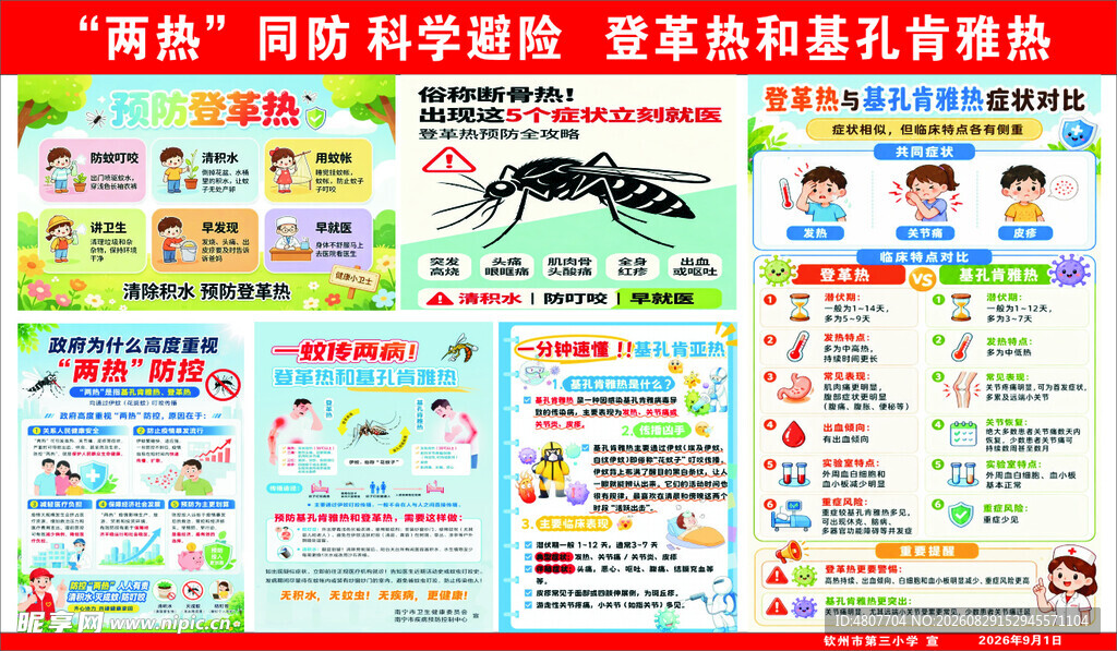 两热 同防 登革热和基孔肯雅