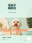 萌犬焕新 开启毛孩子新旅程