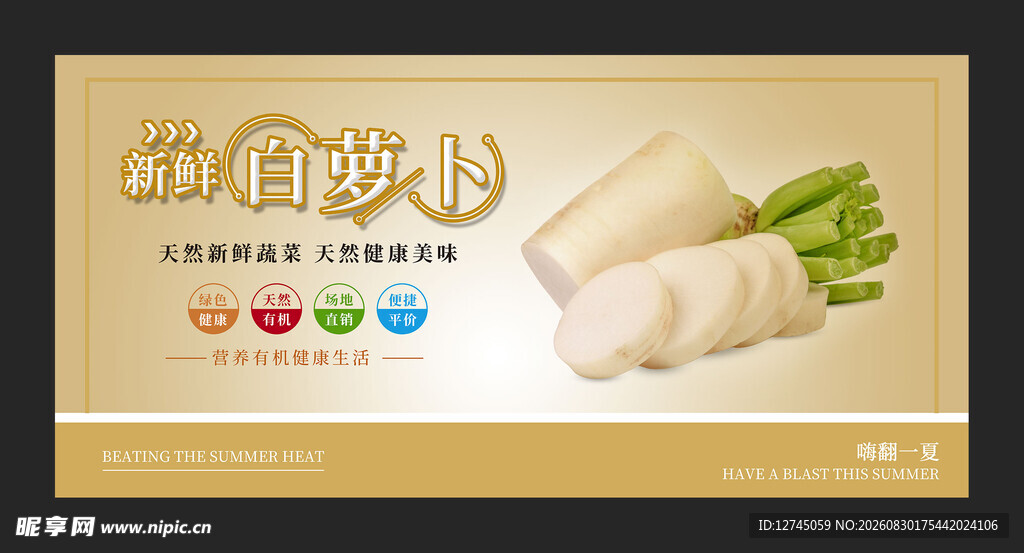 白萝卜