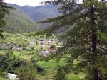 山林间的静谧村落景观