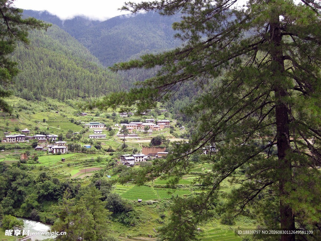 山林间的静谧村落景观