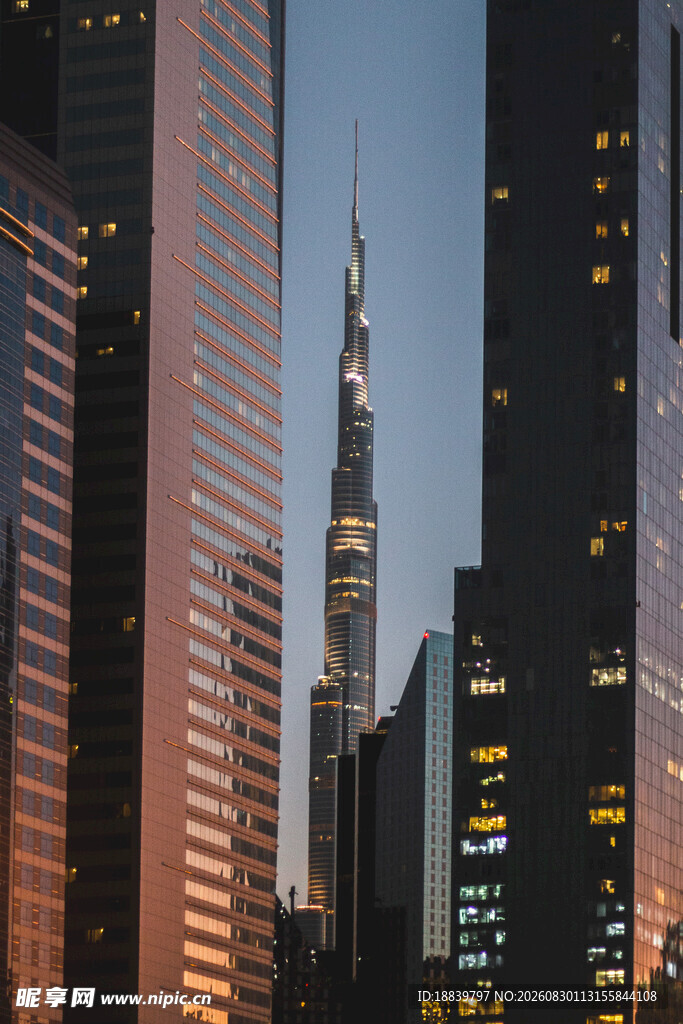 城市高楼夜景剪影