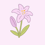 花