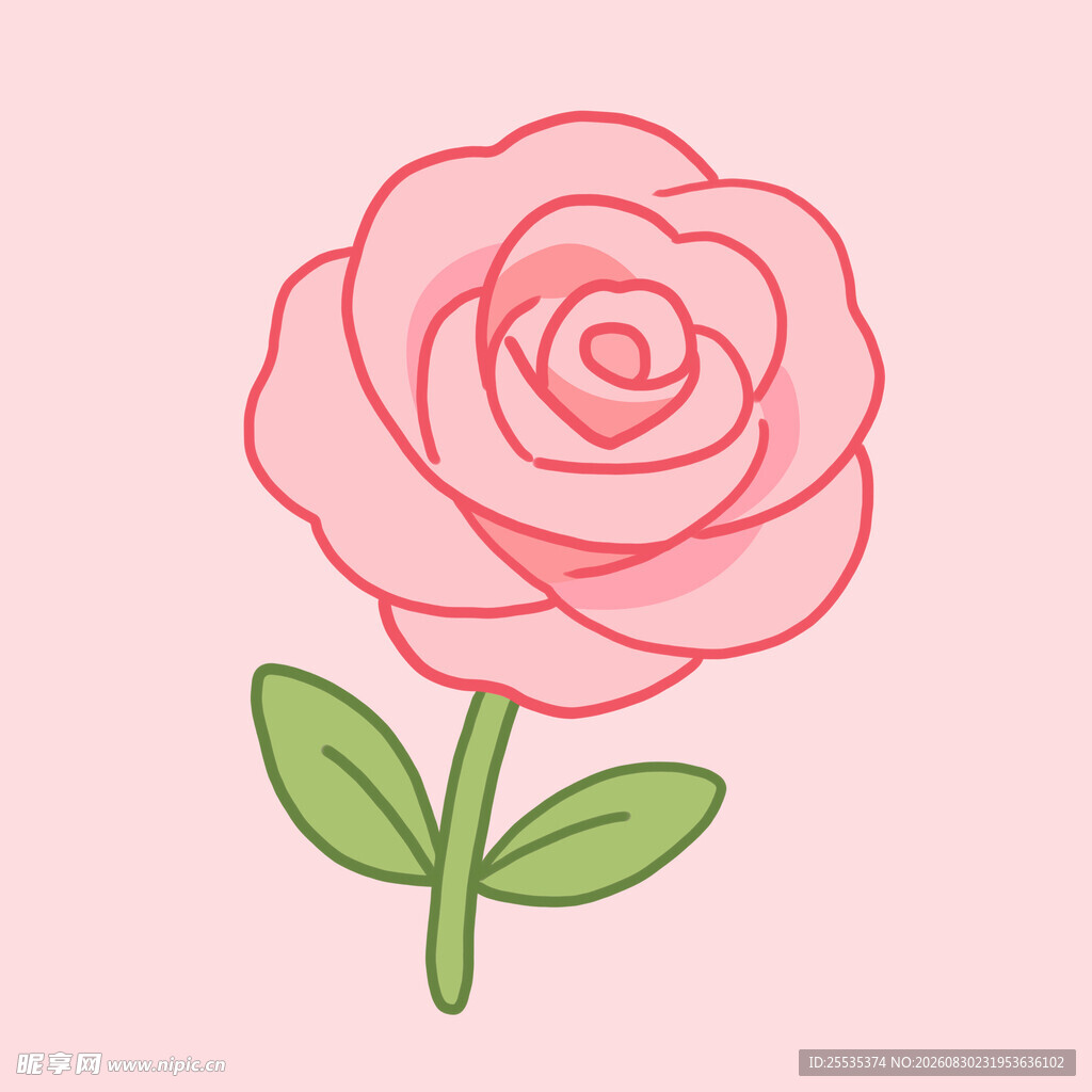 玫瑰花