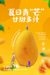 夏日青芒  甘甜多汁的诱惑