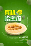 有机哈密瓜  美味新选择