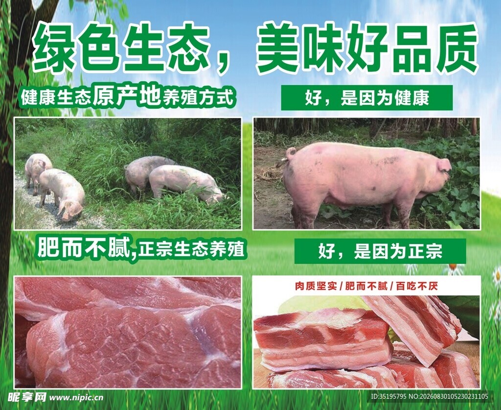 绿色生态猪肉