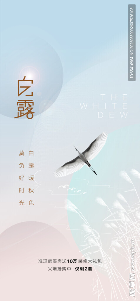 白露