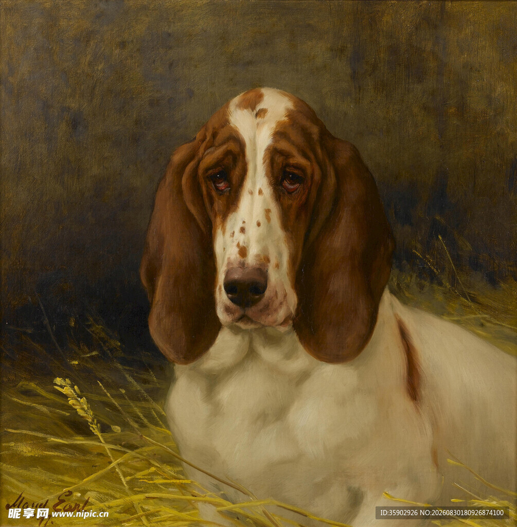 趴着的斑点猎犬