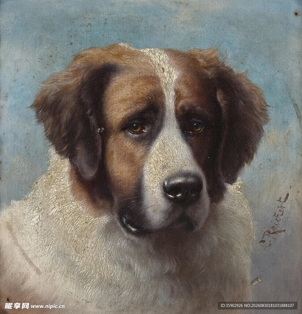 圣伯纳犬肖像画