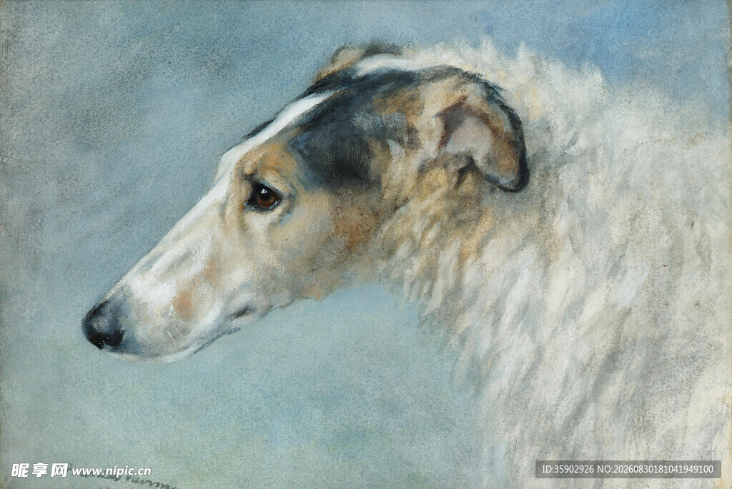 优雅猎犬侧面肖像画