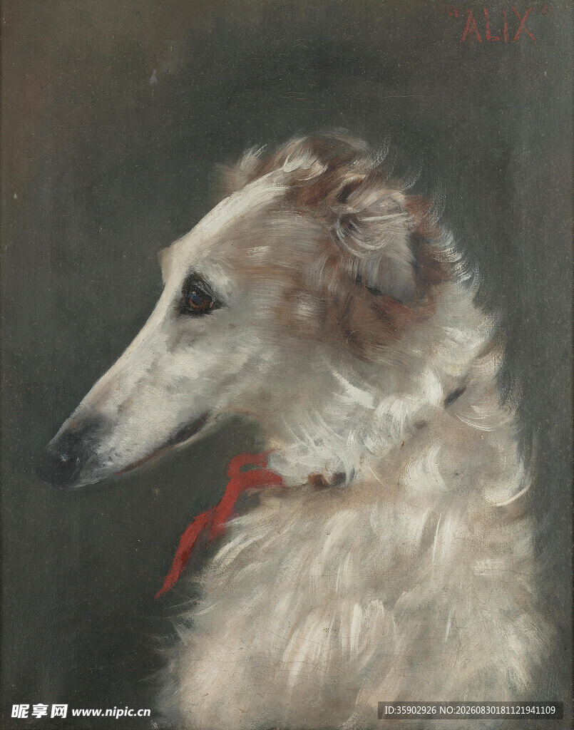 戴红领的优雅猎犬画像