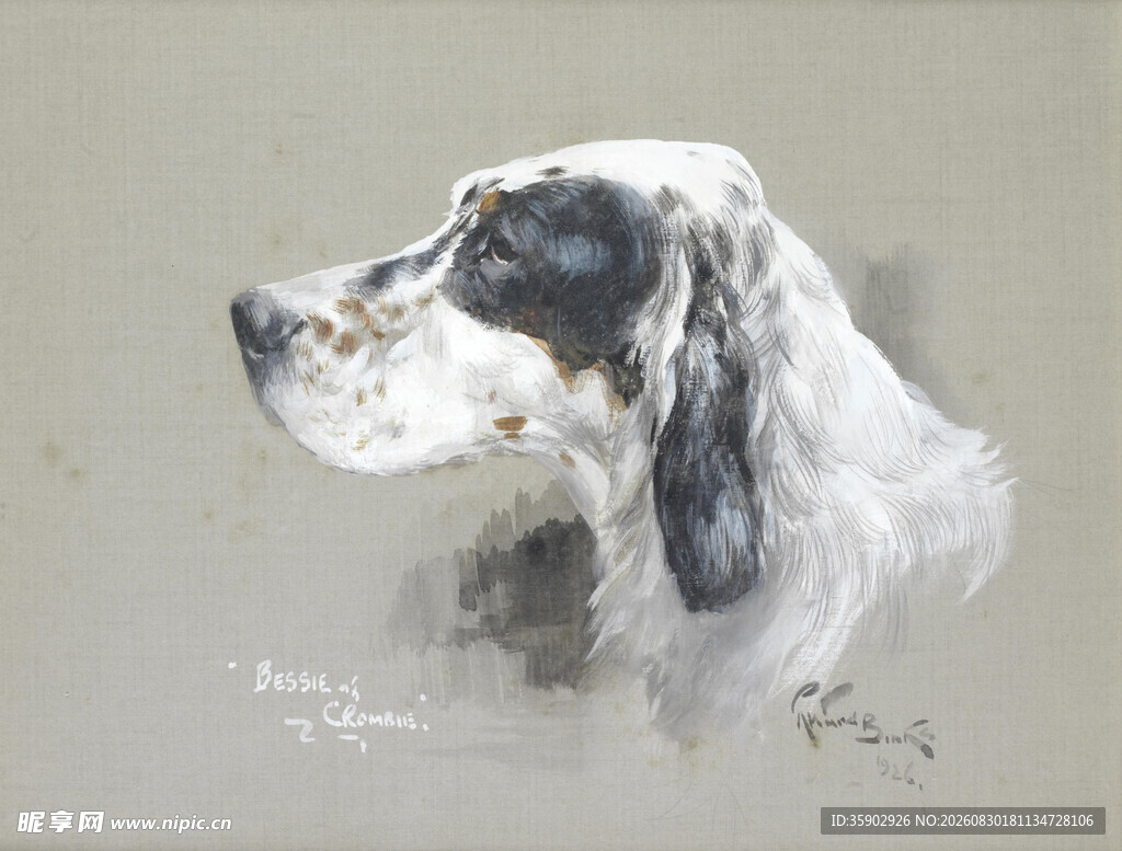 黑白猎犬侧面肖像画