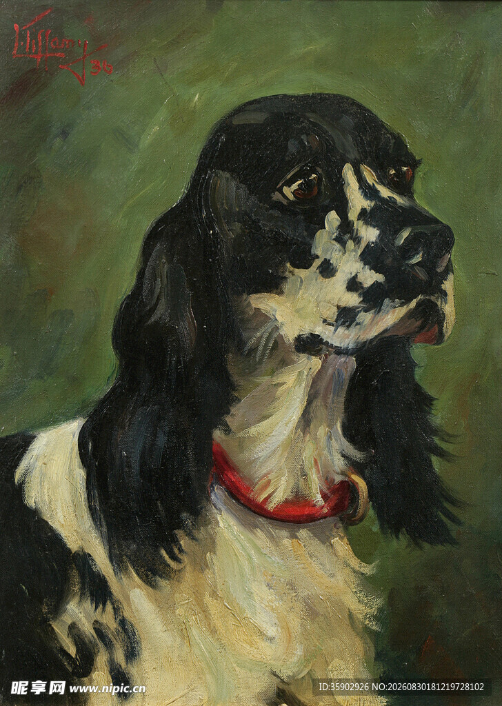 黑白花犬戴红项圈画像