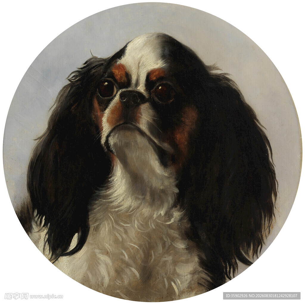 可爱查理士王小猎犬画像